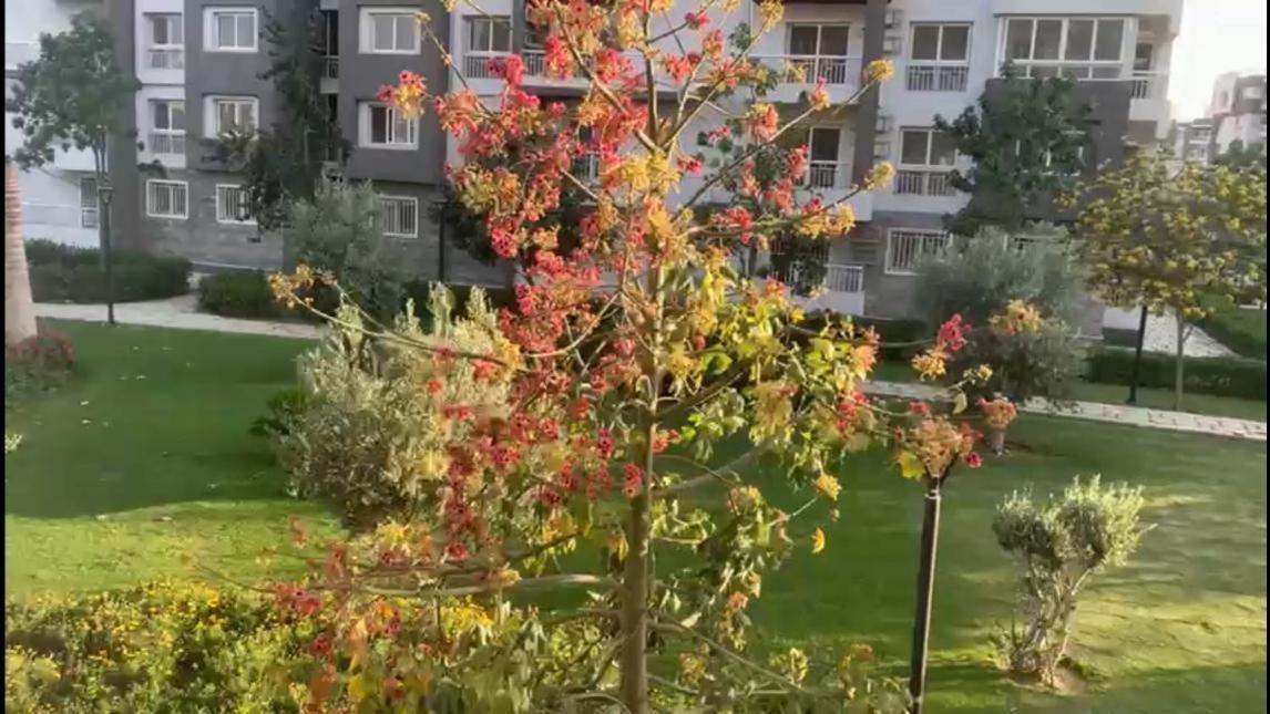 Apartment Luxury 3-bd مدينتي شقه فندقيه فاخره *